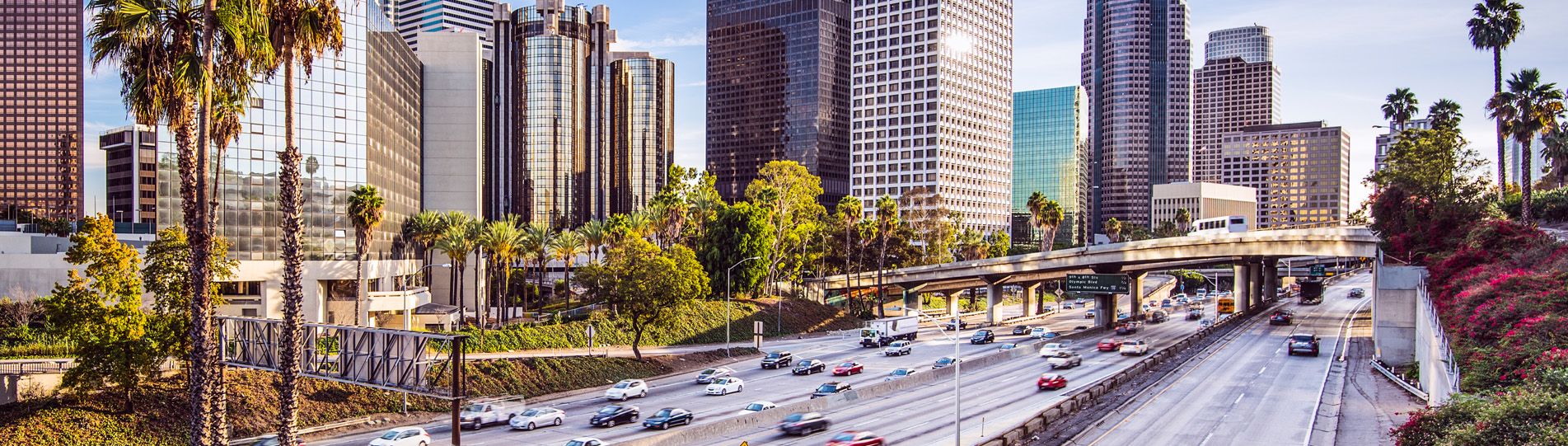 Bosch Mobility North America