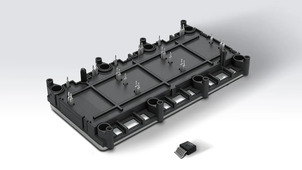 Silicon carbide chips