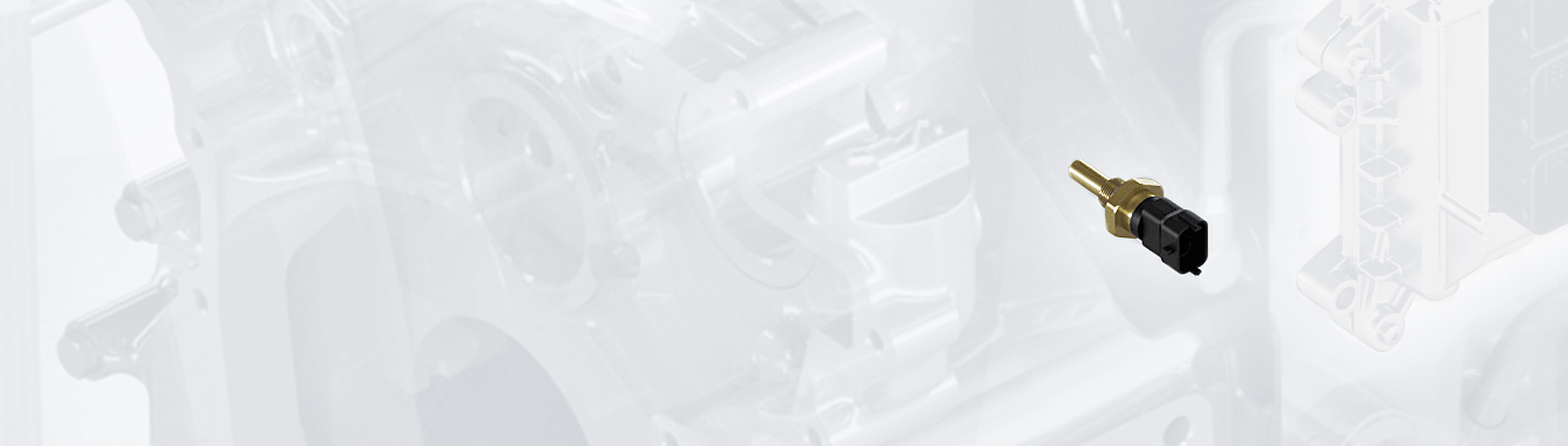 Temperature sensor for a wide temperature range