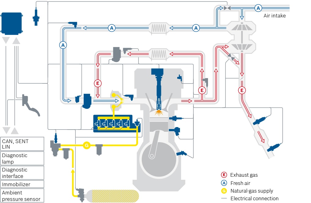 Natural-gas system