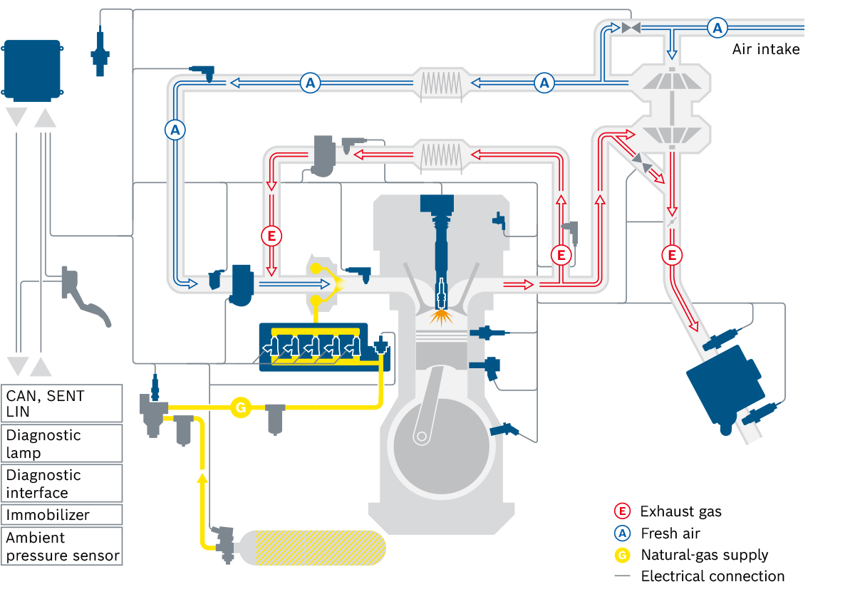 System overview