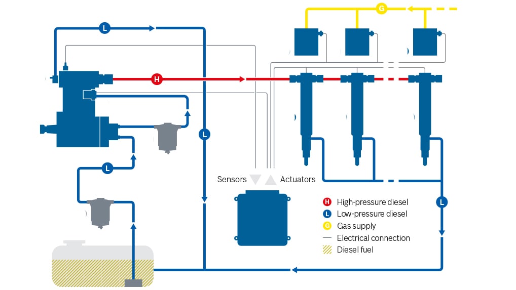 Gas admission valve in dual-fuel engine