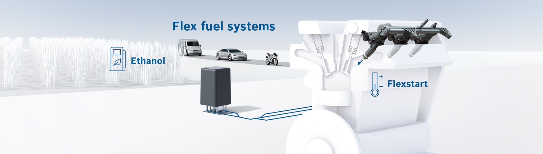 Flex fuel systems