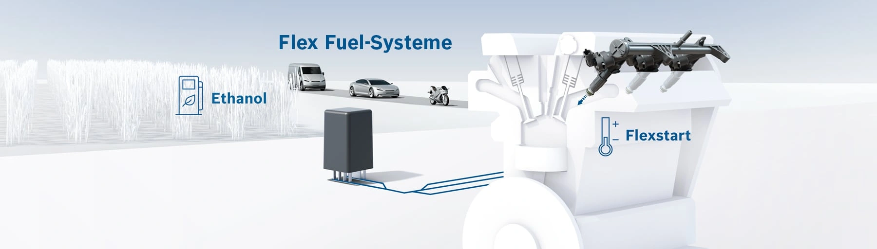 Flex Fuel-Systeme