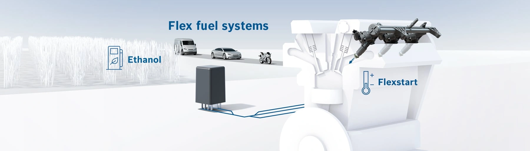 Flex fuel systems