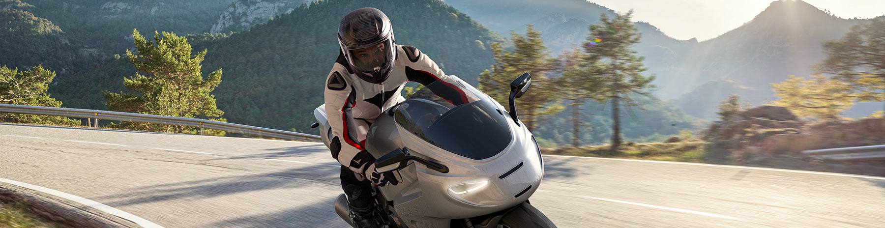 Motorcycle stability control (MSC)